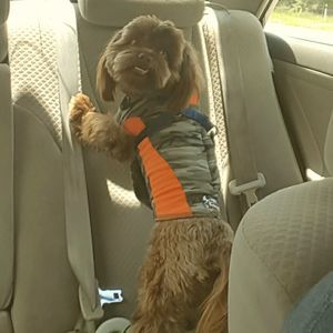 Meet your Posher, Marcus